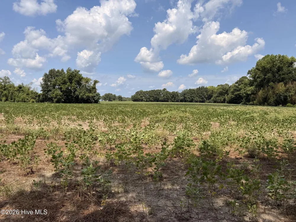 685 Snake Road Lumberton, NC 28358
