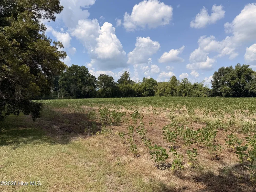 685 Snake Road Lumberton, NC 28358