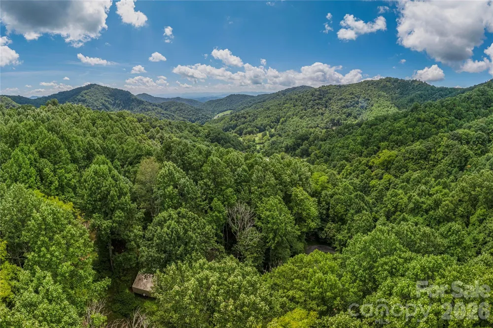 99999 Rabbit Run Marshall, NC 28753