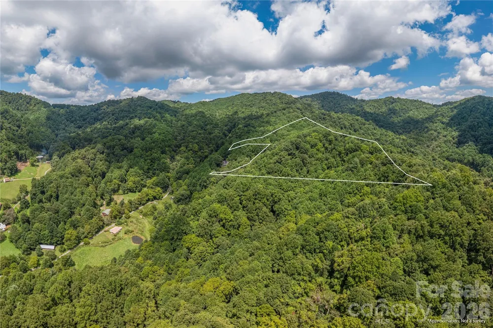 99999 Rabbit Run Marshall, NC 28753