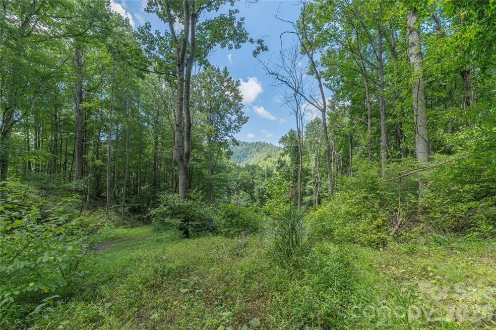 99999 Rabbit Run Marshall, NC 28753