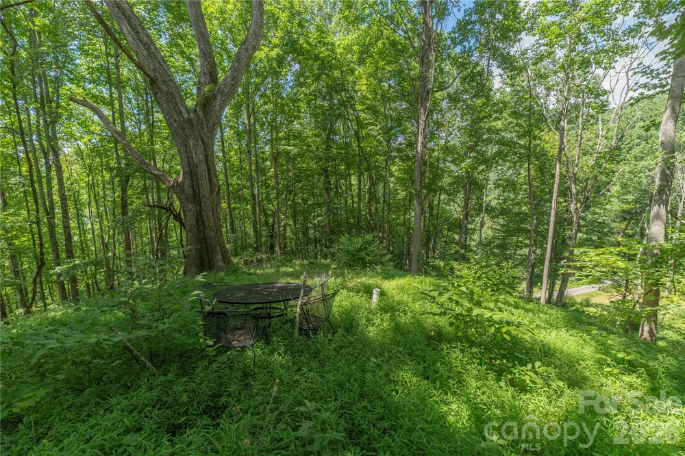 99999 Rabbit Run Marshall, NC 28753