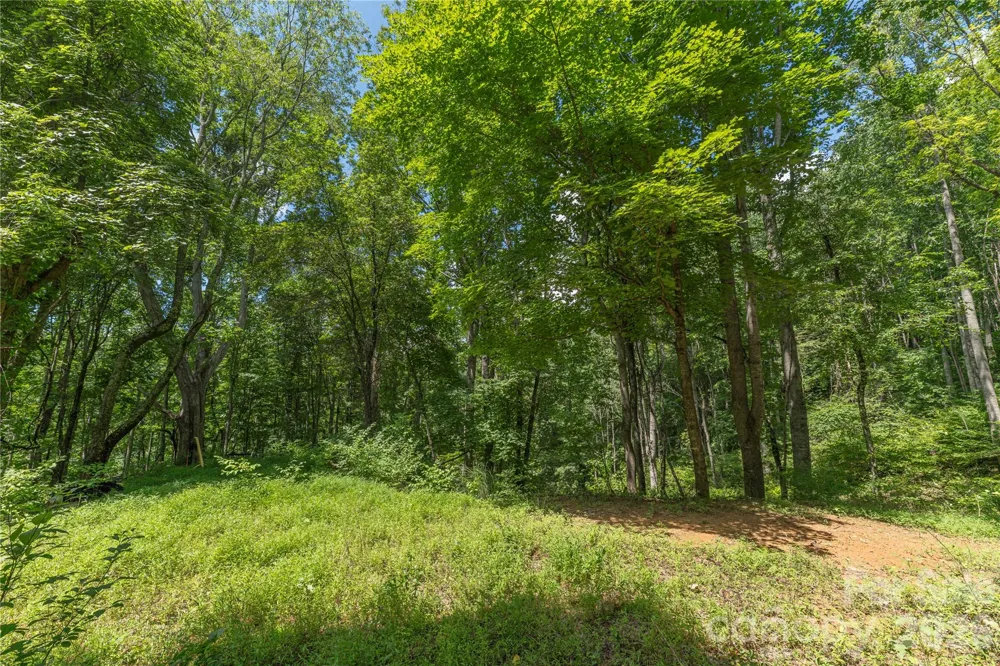99999 Rabbit Run Marshall, NC 28753