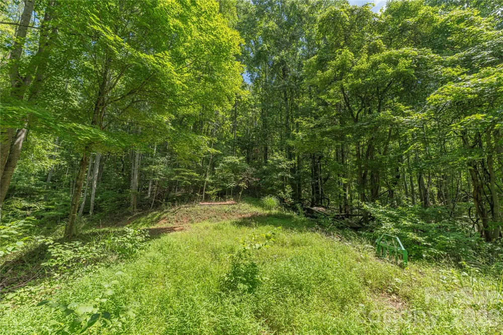 99999 Rabbit Run Marshall, NC 28753