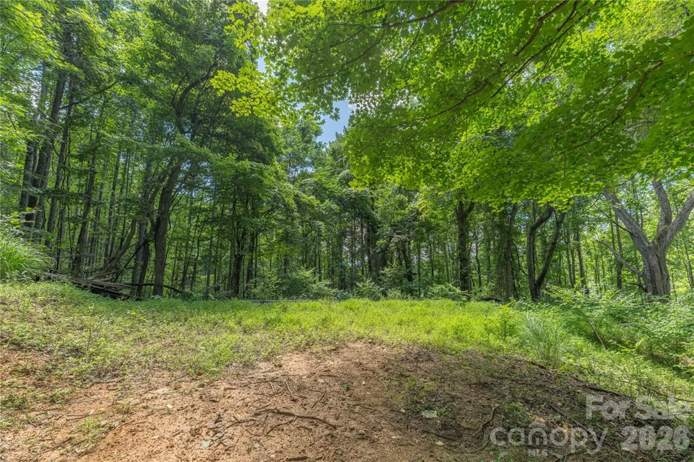 99999 Rabbit Run Marshall, NC 28753