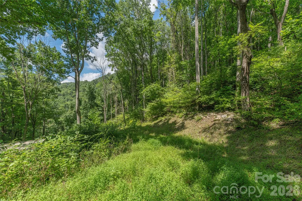 99999 Rabbit Run Marshall, NC 28753
