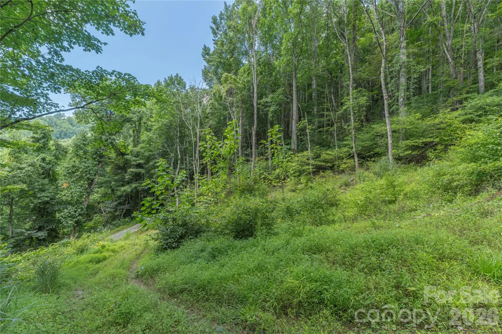 99999 Rabbit Run Marshall, NC 28753