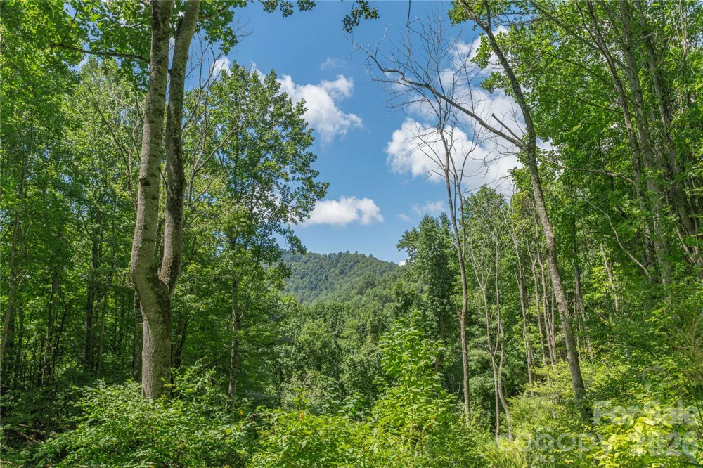 99999 Rabbit Run Marshall, NC 28753