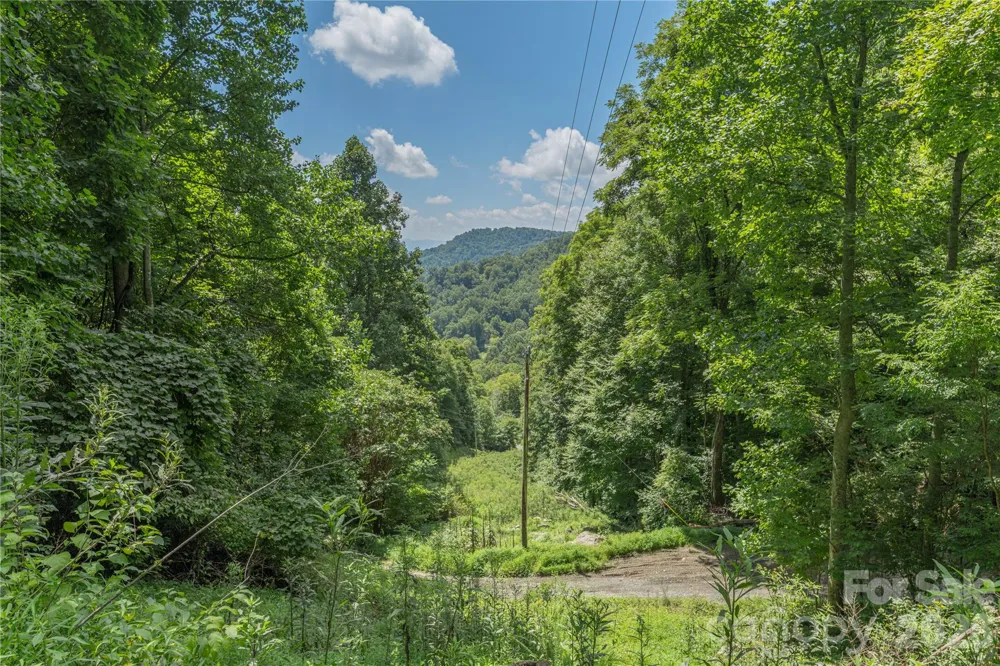 99999 Rabbit Run Marshall, NC 28753