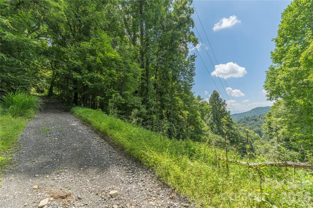 99999 Rabbit Run Marshall, NC 28753