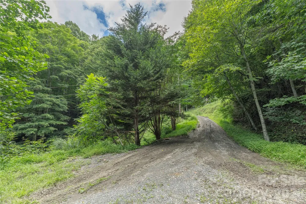 99999 Rabbit Run Marshall, NC 28753