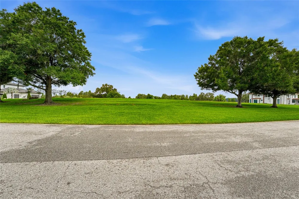 10734 OSPREY LANDING WAY Thonotosassa, FL 33592