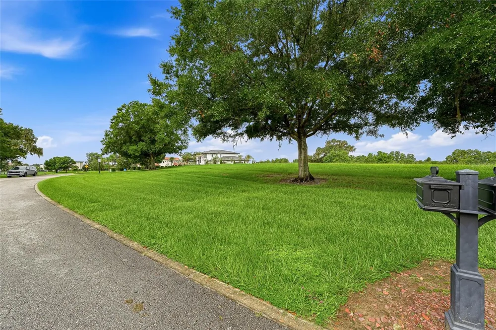 10734 OSPREY LANDING WAY Thonotosassa, FL 33592