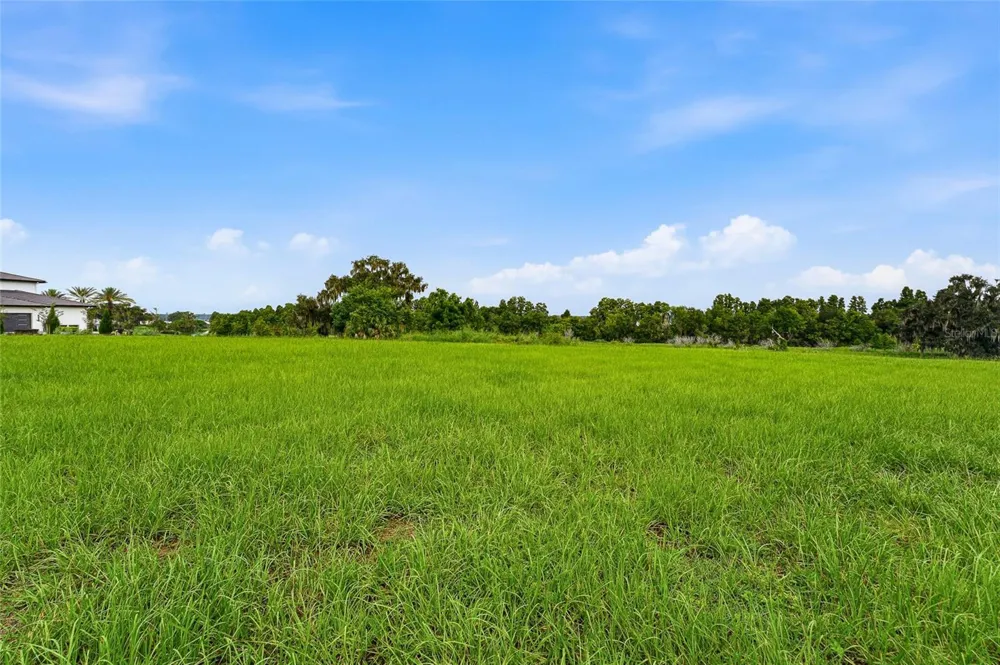 10734 OSPREY LANDING WAY Thonotosassa, FL 33592