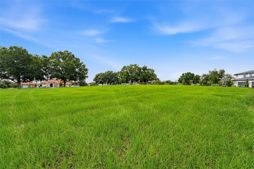 10734 OSPREY LANDING WAY Thonotosassa, FL 33592