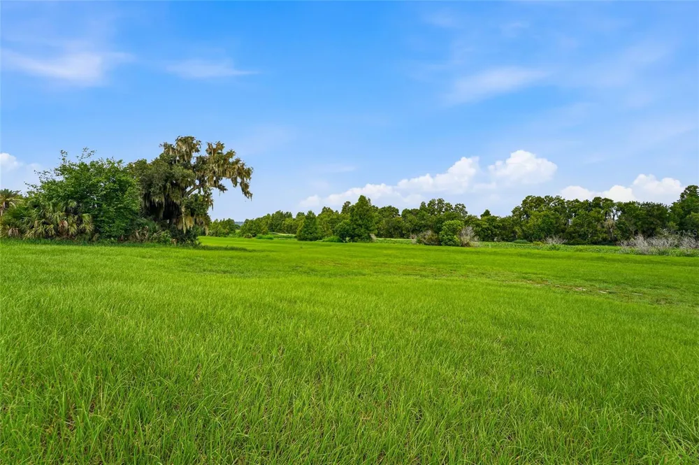 10734 OSPREY LANDING WAY Thonotosassa, FL 33592