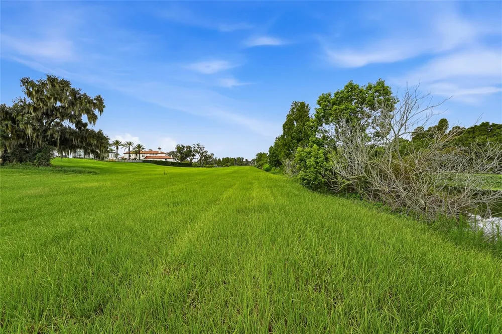 10734 OSPREY LANDING WAY Thonotosassa, FL 33592