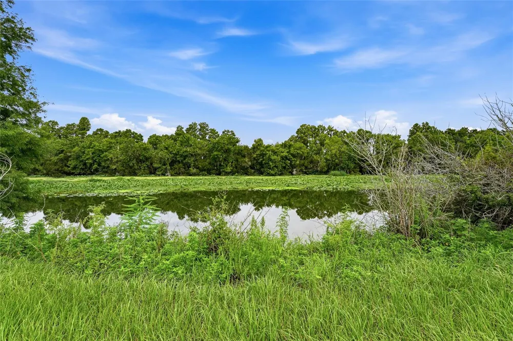 10734 OSPREY LANDING WAY Thonotosassa, FL 33592