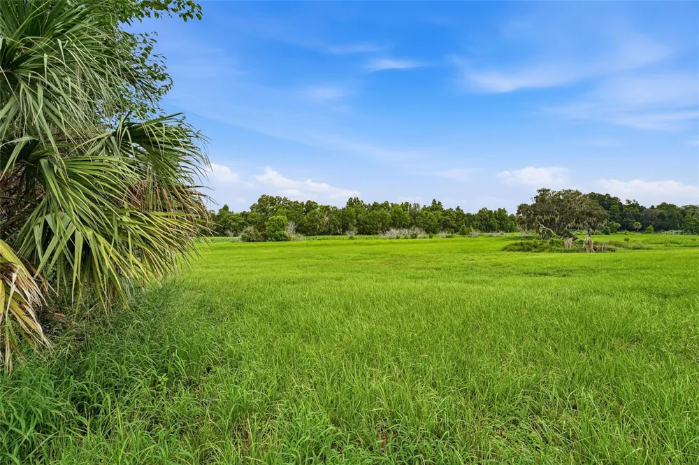 10734 OSPREY LANDING WAY Thonotosassa, FL 33592