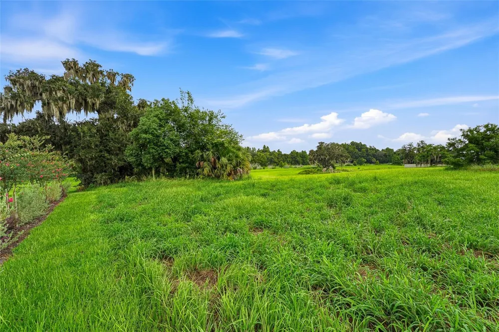 10734 OSPREY LANDING WAY Thonotosassa, FL 33592