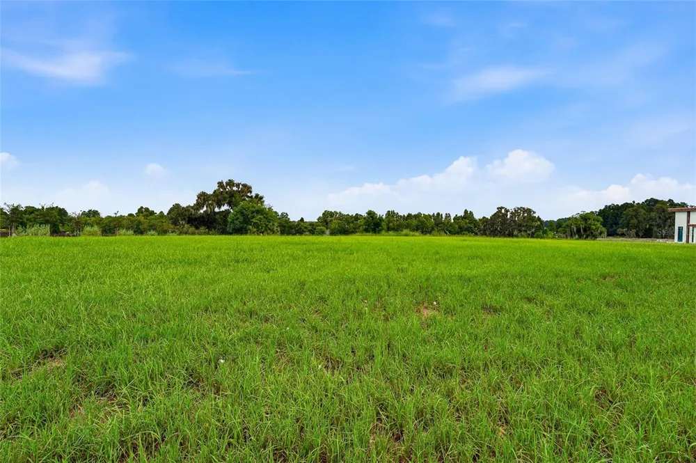 10734 OSPREY LANDING WAY Thonotosassa, FL 33592