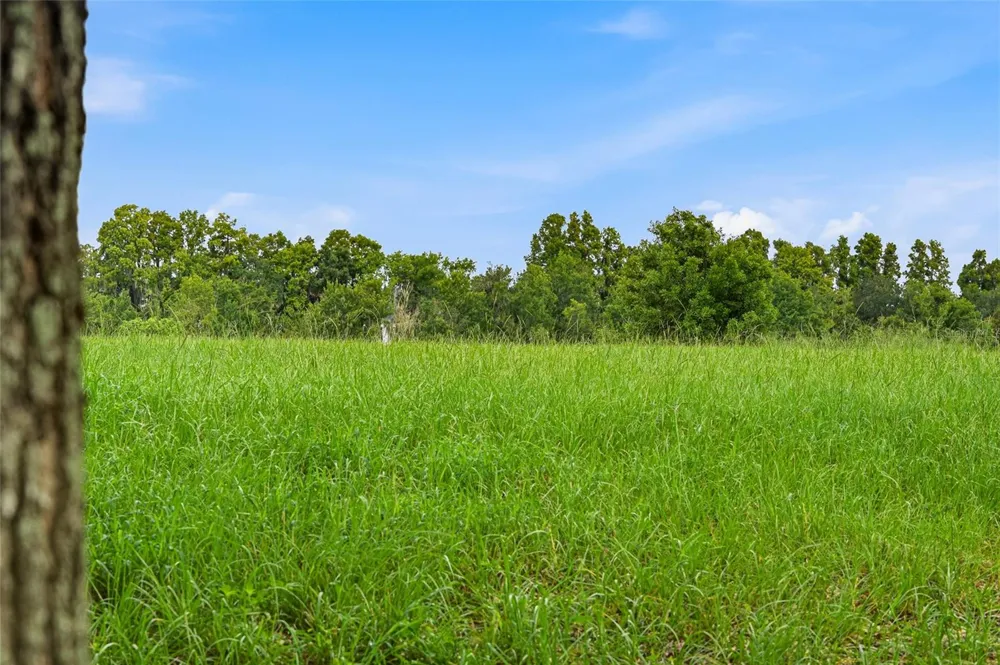 10734 OSPREY LANDING WAY Thonotosassa, FL 33592