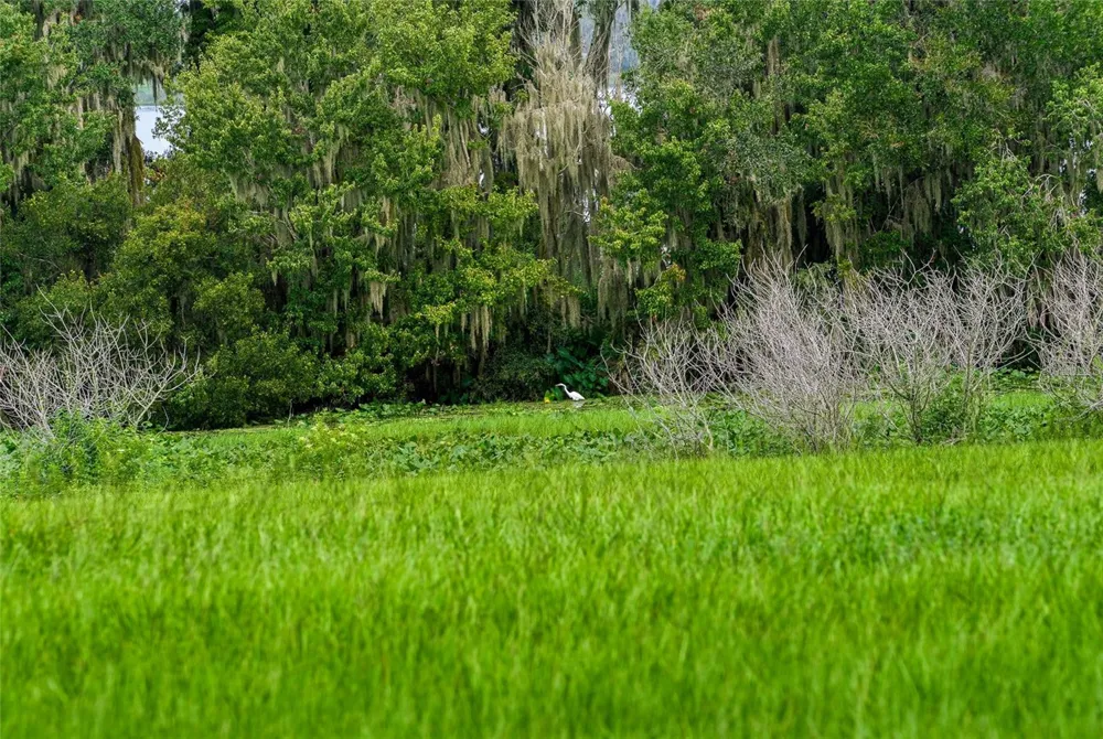 10734 OSPREY LANDING WAY Thonotosassa, FL 33592