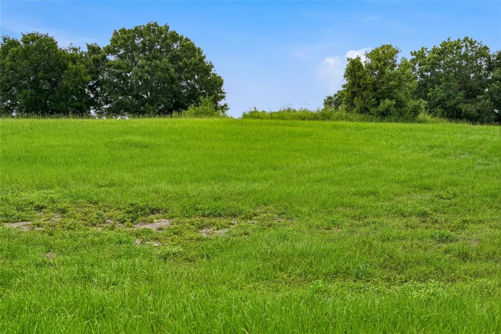 10734 OSPREY LANDING WAY Thonotosassa, FL 33592