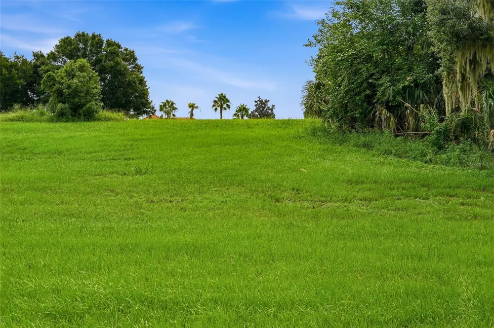 10734 OSPREY LANDING WAY Thonotosassa, FL 33592