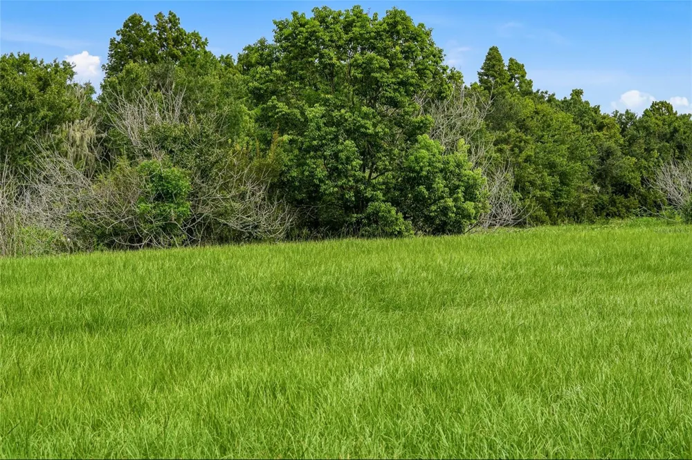 10734 OSPREY LANDING WAY Thonotosassa, FL 33592