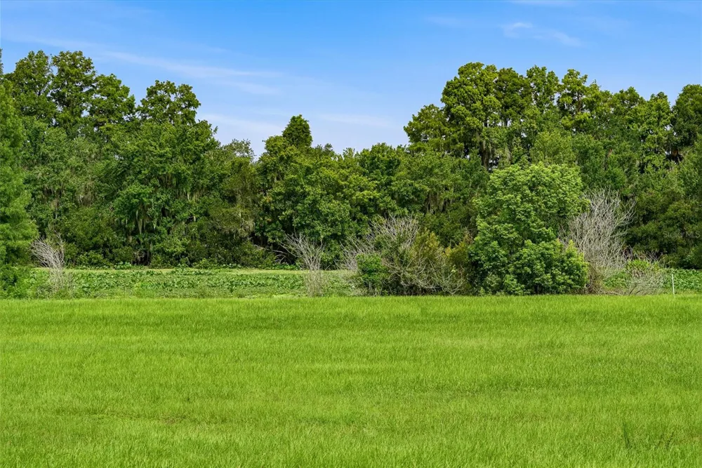10734 OSPREY LANDING WAY Thonotosassa, FL 33592