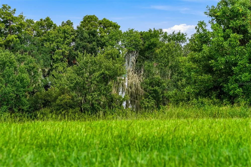 10734 OSPREY LANDING WAY Thonotosassa, FL 33592
