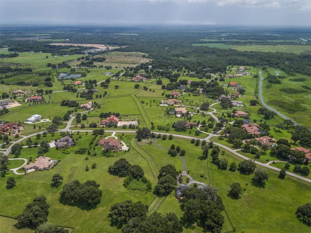 10734 OSPREY LANDING WAY Thonotosassa, FL 33592