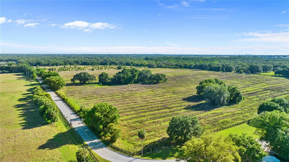 10734 OSPREY LANDING WAY Thonotosassa, FL 33592