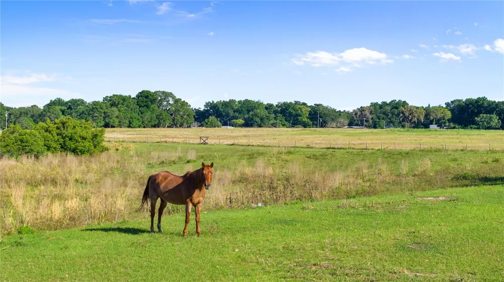 10734 OSPREY LANDING WAY Thonotosassa, FL 33592