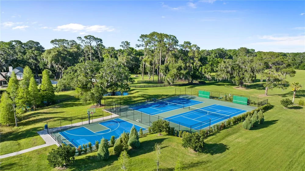 10734 OSPREY LANDING WAY Thonotosassa, FL 33592