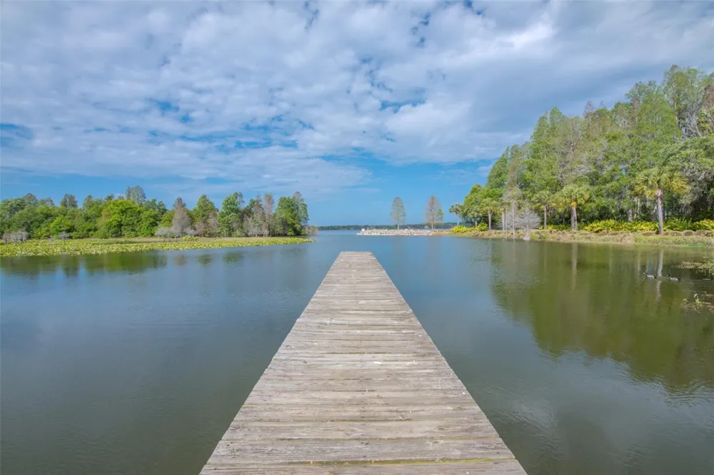 10734 OSPREY LANDING WAY Thonotosassa, FL 33592