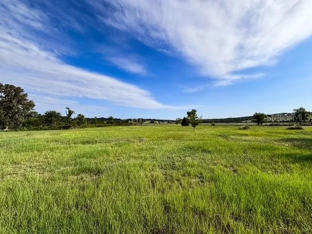309 GENTLE BREEZE DRIVE Minneola, FL 34715