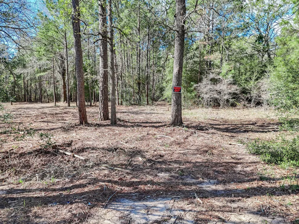 Nottingham Circle Hockley, TX 77447
