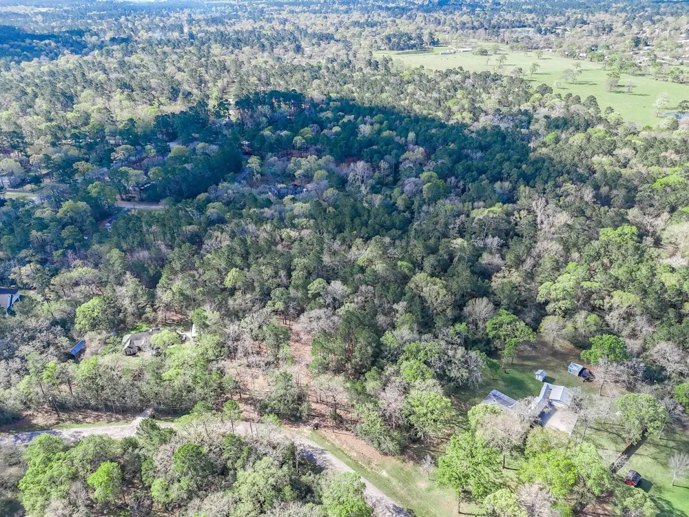 Nottingham Circle Hockley, TX 77447
