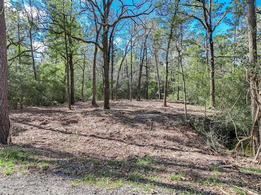 Nottingham Circle Hockley, TX 77447