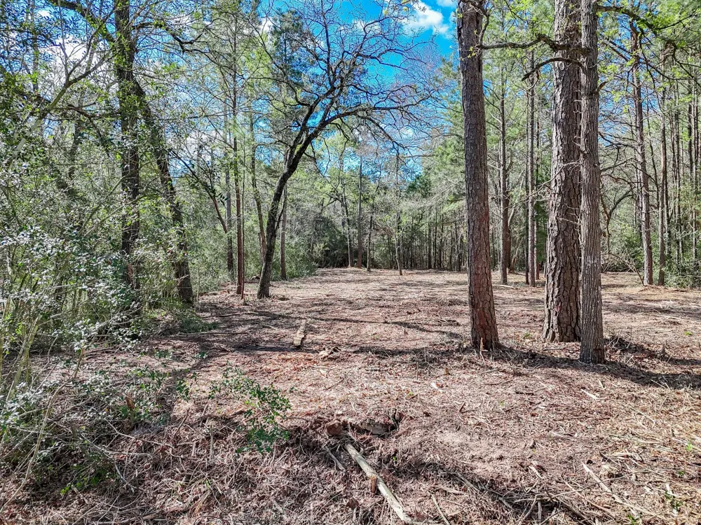 Nottingham Circle Hockley, TX 77447