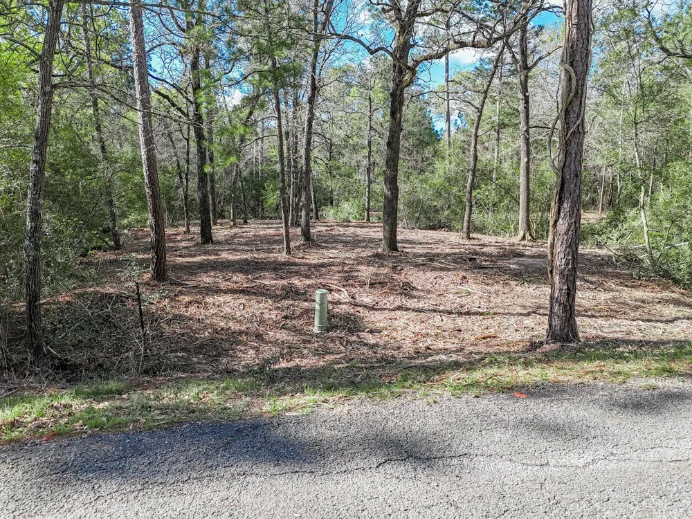 Nottingham Circle Hockley, TX 77447