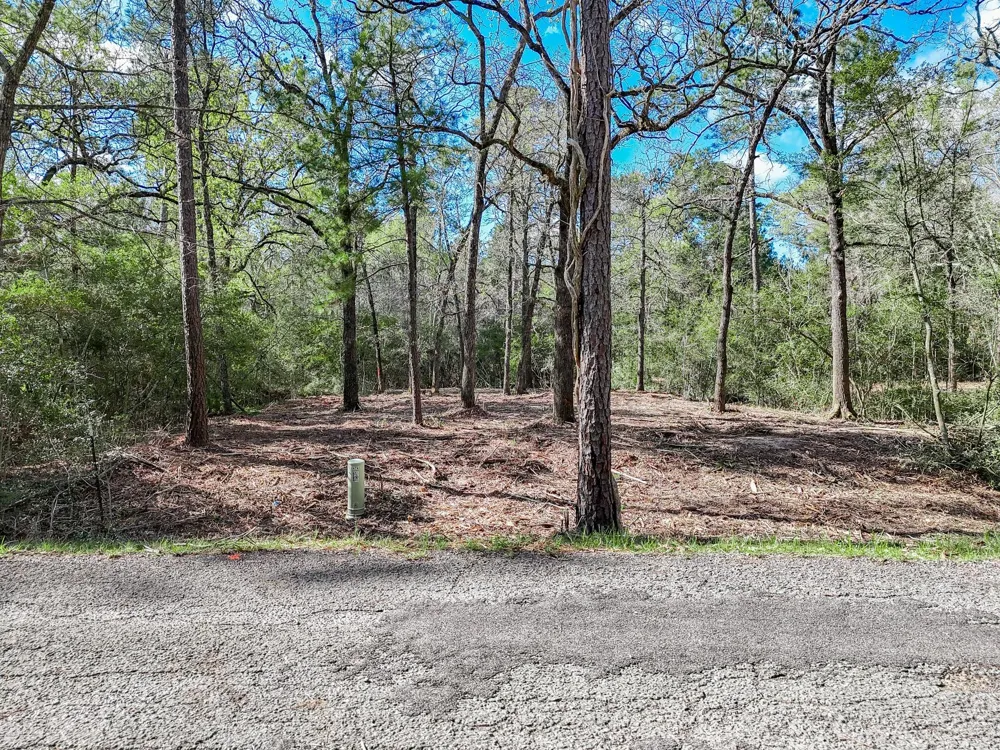 Nottingham Circle Hockley, TX 77447