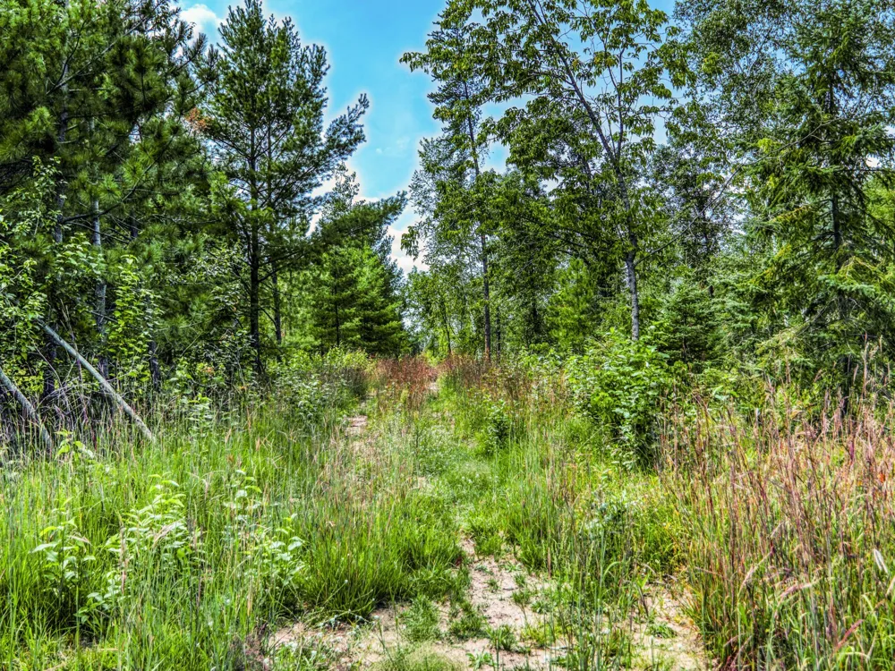 1902 Lakeview Drive SW Bemidji, MN 56601