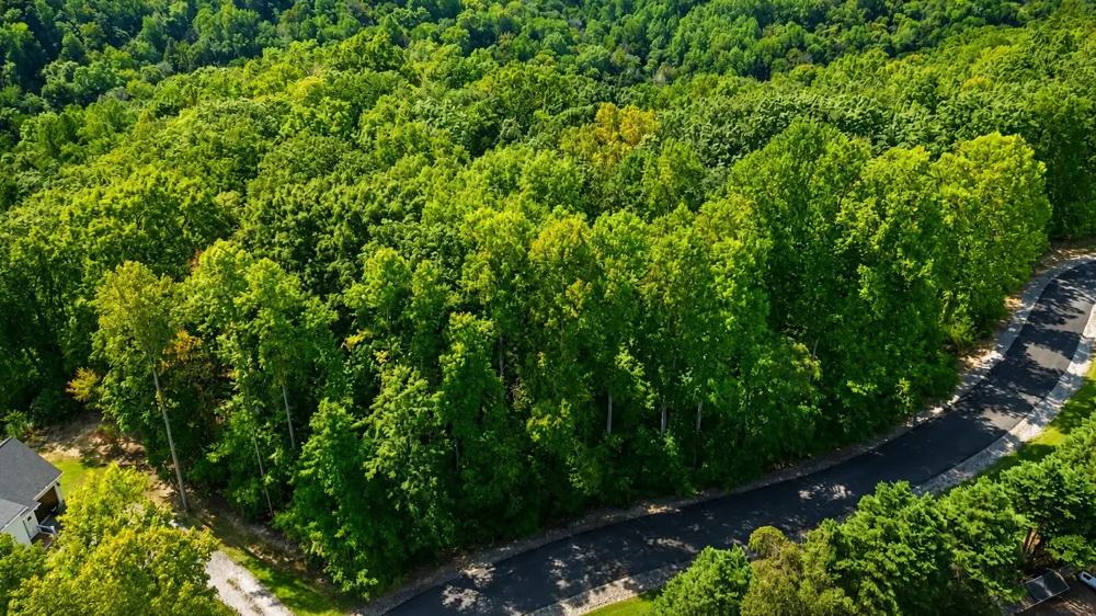 0 Tennis Center Dr Smithville, TN 37166
