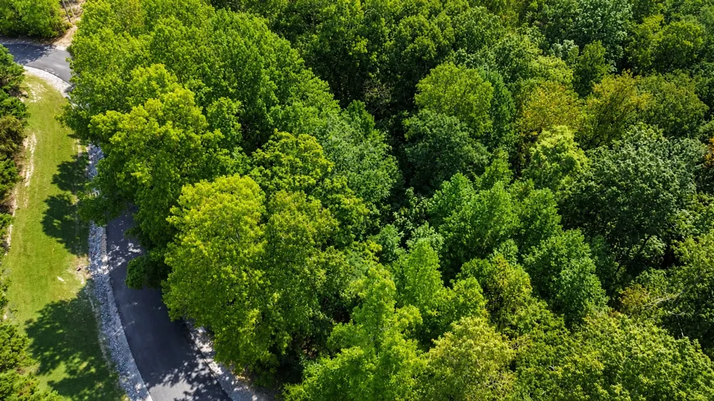 0 Tennis Center Dr Smithville, TN 37166