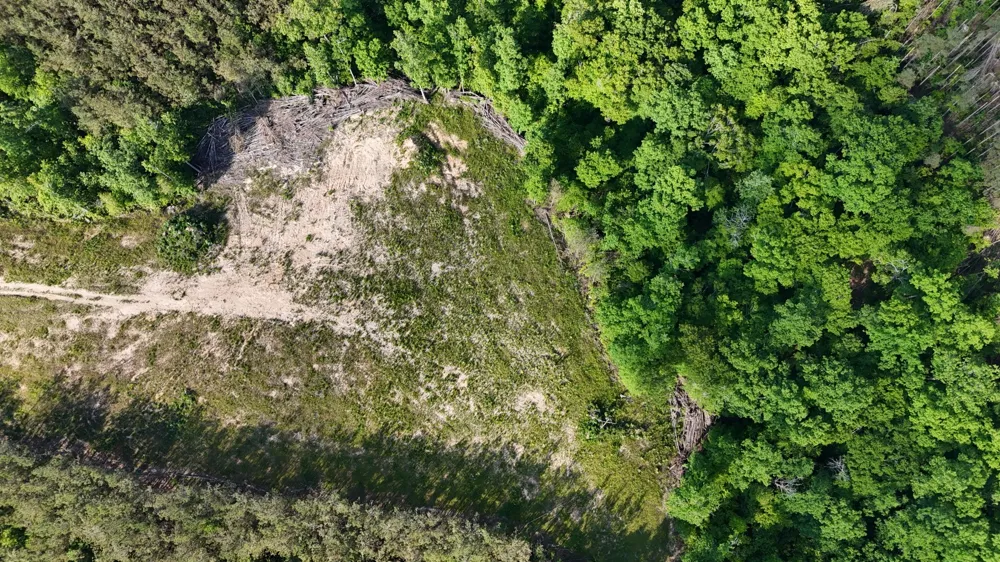 4422 Old Hohenwald Rd Linden, TN 37096