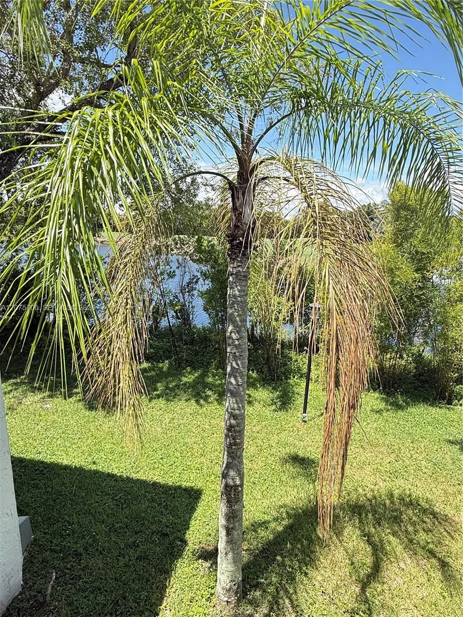 4974 NW 97th Pl #310 Doral, FL 33178