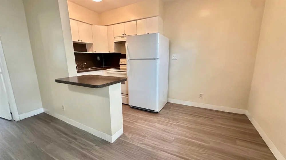 505 NE 4th Avenue #2 Fort Lauderdale, FL 33301